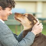 Páscoa na SIC. Cinema e ‘Traidores’ são as grandes apostas